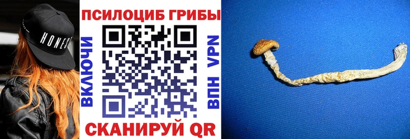 KRAKEN зеркало  Братск  Псилоцибиновые грибы GOLDEN TEACHER  даркнет сайт 