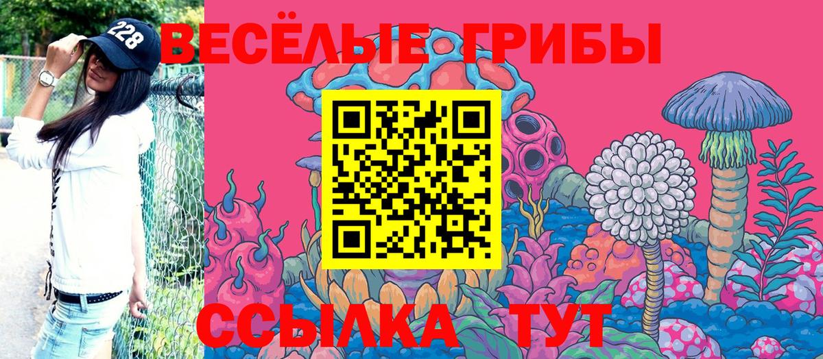 Псилоцибиновые грибы Psilocybine cubensis Братск