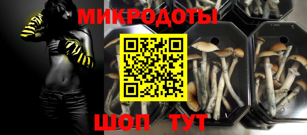 Братск  Галлюциногенные грибы Psilocybine cubensis  Псилоцибиновые грибы Psilocybe  Вход с VPN 