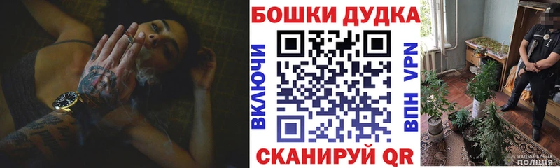 где купить наркоту  Братск  Конопля марихуана 